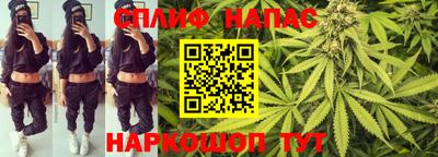 дмт Кинель