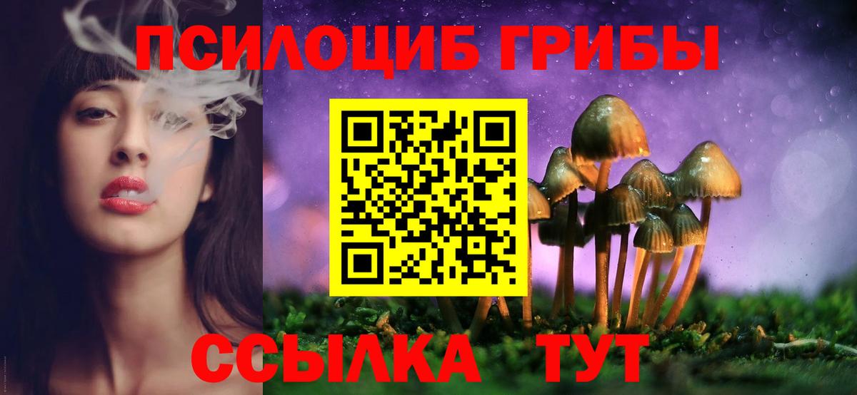 Псилоцибиновые грибы Psilocybe  наркотики  Псилоцибиновые грибы мицелий  Кувандык  Вход с VPN 